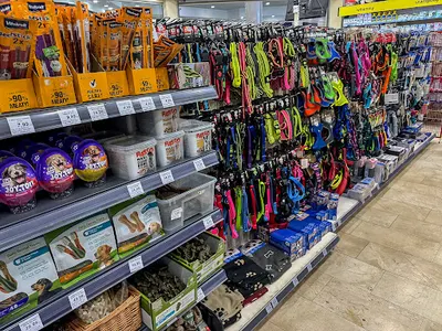 AQUAEL ZOO, Legnica, CH Auchan